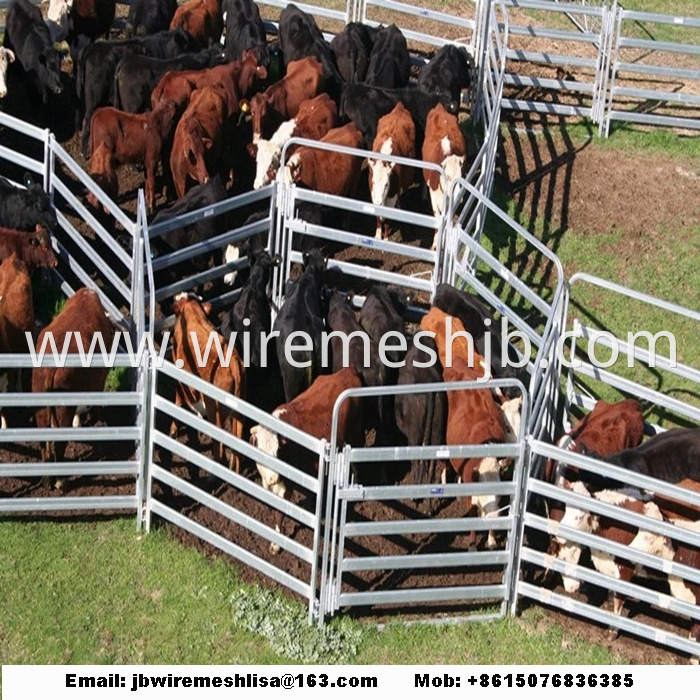 Galvanized Portable Horse Fence Panel